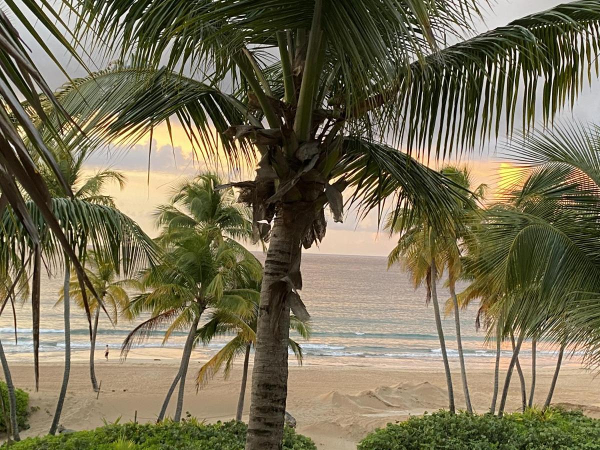 Beachfront Luxury 2 Bedroom At Wyndham Rio Mar, Pr ลูควิโญ ภายนอก รูปภาพ